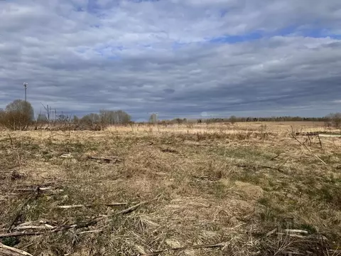 Участок в Ленинградская область, Киришский район, Пчевское с/пос, д. ...