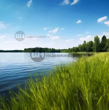 Участок в Ленинградская область, Всеволожский район, Куйвозовское ...