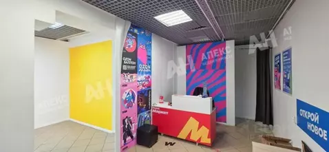 Помещение свободного назначения в Москва Авангардная ул., 3 (46 м)