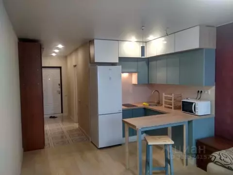 Студия Московская область, Мытищи ул. Кедрина, 1 (27.0 м)