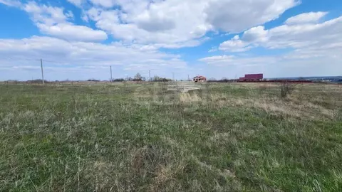 Участок в Воронежская область, Рамонский район, с. Новоживотинное ...