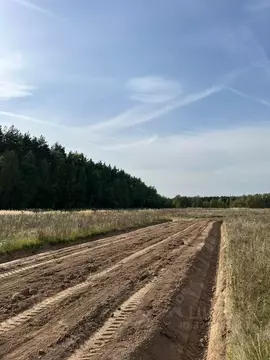 Участок в Московская область, Раменский муниципальный округ, Опушкино ...