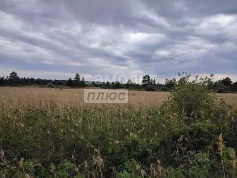 Участок в Тюменская область, Тюмень Славянский мкр,  (7.2 сот.)