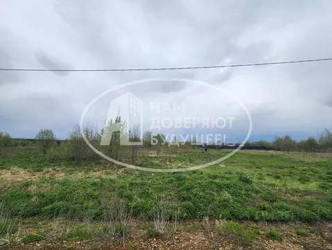 Участок в Пермский край, Чернушка ул. Рябиновая, 20 (20.0 сот.)