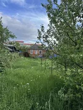 Дом в Белгородская область, Белгород Магистральная ул., 85 (49 м)