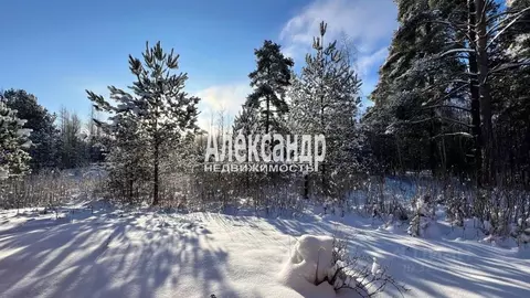 Участок в Ленинградская область, Выборг ул. Ракитная (20.0 сот.)