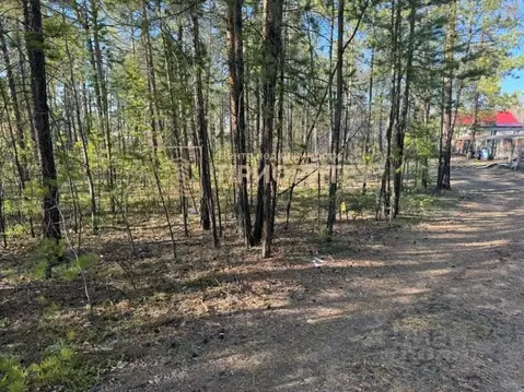 Участок в Саха (Якутия), Мегино-Кангаласский улус, Нижний Бестях пгт, ...