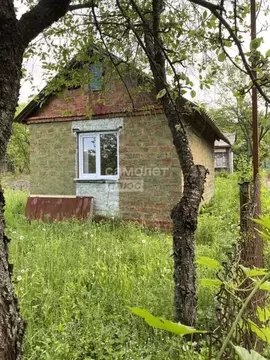 Дом в Курская область, Курск Имени Мичурина СНТ, 293 (20 м)