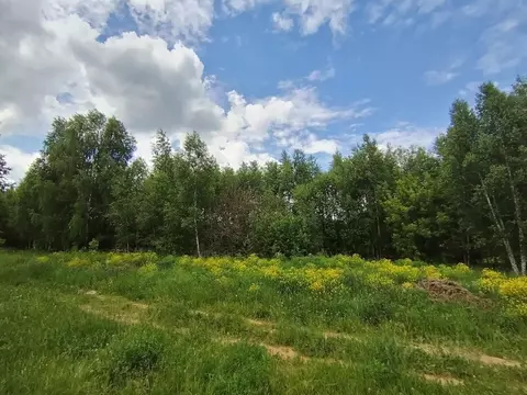 Участок в Нижегородская область, Нижний Новгород городской округ, с. ...