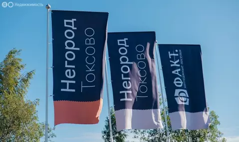 Участок в Лесколовское сельское поселение, коттеджный посёлок Негород ...