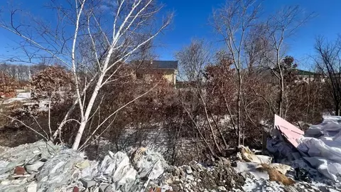 Участок в Амурская область, Благовещенский район, с. Чигири  (14.37 ...