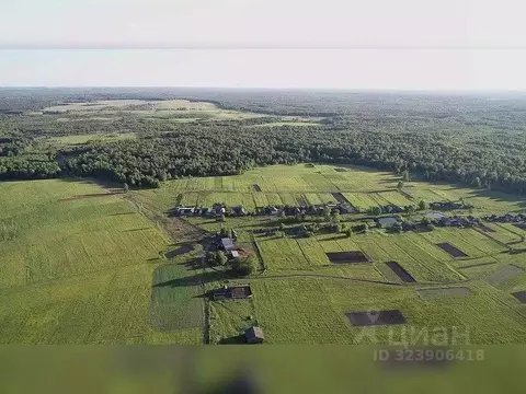 Участок в Московская область, Коломна городской округ, д. Якшино ул. ...