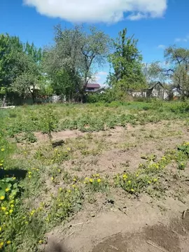 Участок в Брянская область, Брянск Рассвет садовое общество, 2 (6.7 ...