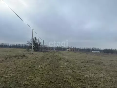 Участок в Ростовская область, Аксайский район, Старочеркасское с/пос, ...