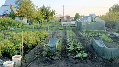 Участок в Новосибирская область, Бердск Лесное СНТ, ул. 12-я, 47 (10.0 ...