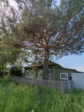 Дом в Тюменская область, с. Нижняя Тавда  (40 м)