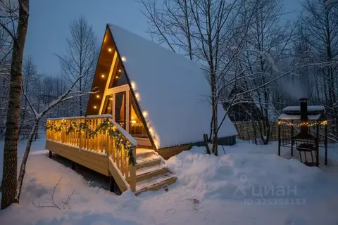 Дом в Московская область, Клин городской округ, д. Степаньково  (55 м)