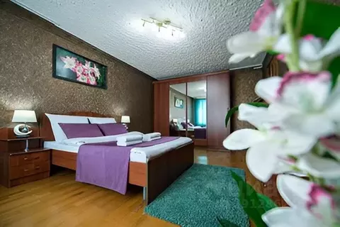 2-к кв. Челябинская область, Челябинск Советская ул., 65 (58.0 м)