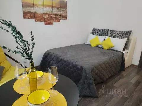 Студия Свердловская область, Екатеринбург ул. Академика Парина, 33 ...