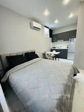 Студия Краснодарский край, Сочи ул. Просвещения, 15 (23.0 м)