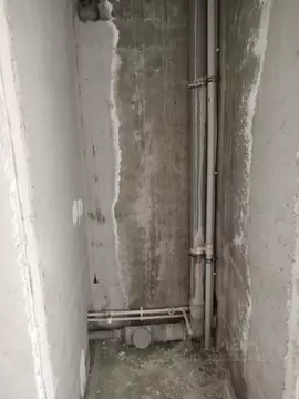 Свободной планировки кв. Новосибирская область, Новосибирск ул. В. ...