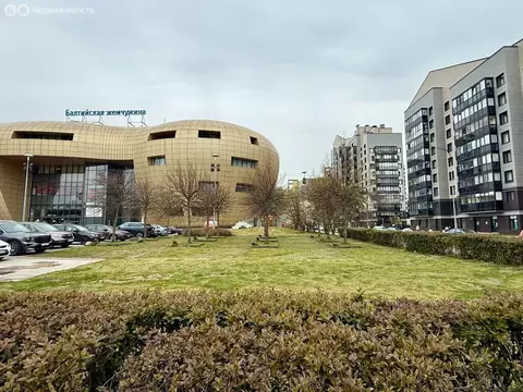 1-комнатная квартира: Санкт-Петербург, Петергофское шоссе, 45 (41.4 м)