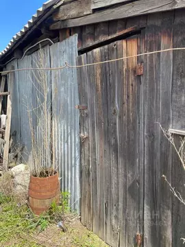 Свободной планировки кв. Амурская область, Зея ул. Толстого, 191 (74.8 ...