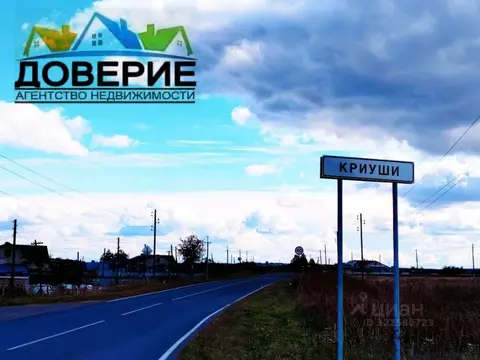 1-к кв. Ульяновская область, Новоульяновск городской округ, с. Криуши ...