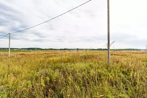 Участок в Тюменская область, Тюменский муниципальный округ, ...