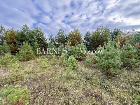 Участок в Московская область, Истра муниципальный округ, д. Чесноково, ...