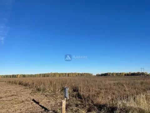 Участок в Тюменская область, Тюменский муниципальный округ, с. Каменка ...