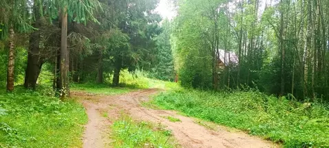 Участок в Пермский край, Пермь Бузулукская ул., 24Д (12.0 сот.)