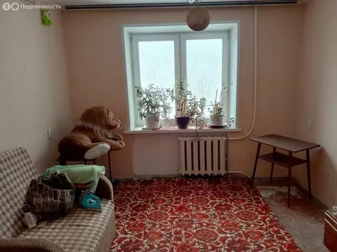 1к в 4-комнатной квартире (12 м)