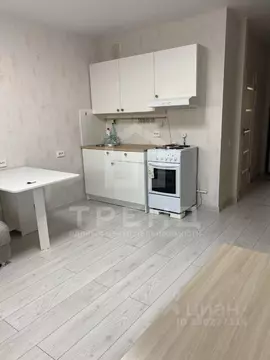 Студия Санкт-Петербург пос. Парголово, ул. Тихоокеанская, 18к2 (24.1 ...