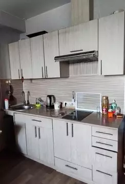 Студия Новосибирская область, Новосибирск Приморская ул., 24 (28.6 м)