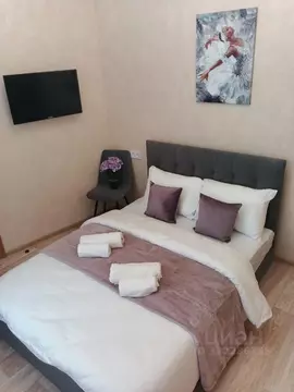 Комната Москва Чистопрудный бул., 11С1 (17.0 м)