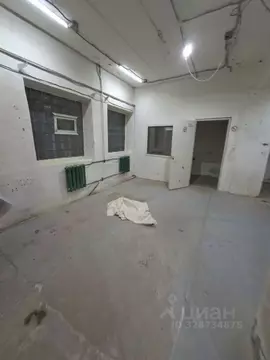 Производственное помещение в Санкт-Петербург ул. Шкапина, 10 (420 м)