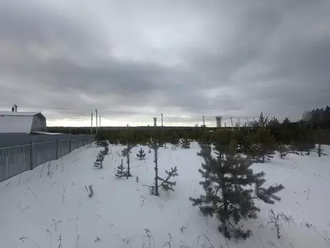 Участок в Свердловская область, Белоярский муниципальный округ ул. ...