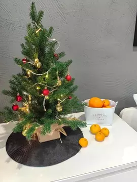 Комната Краснодарский край, Анапа Терская ул., 146А