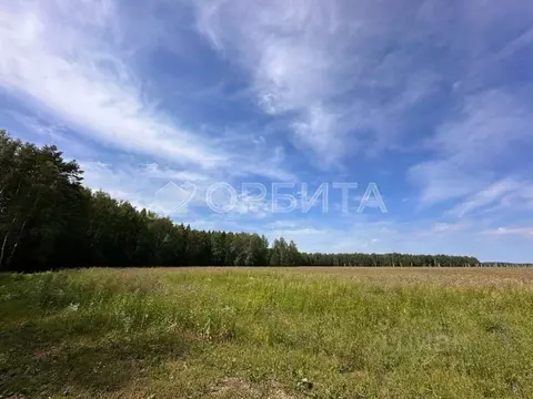 Участок в Тюменская область, Тюменский муниципальный округ, с. ...