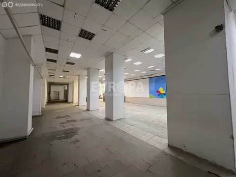 Помещение свободного назначения (1161 м)