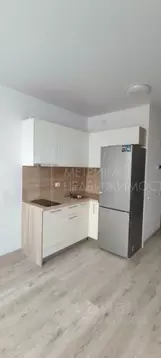 Студия Ленинградская область, Всеволожский район, Свердловское ...