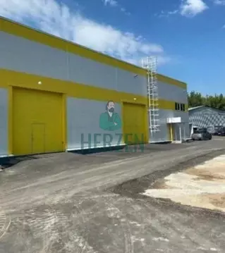 Производственное помещение в Московская область, Реутов Транспортная ...