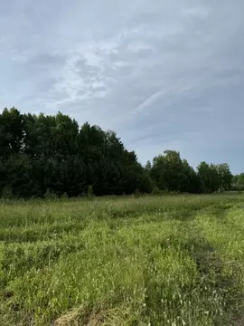 Участок в Красноярский край, Емельяновский муниципальный округ, д. ...