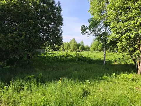 Участок в Тульская область, Заокский рп ул. Звездная, 21 (15.0 сот.)