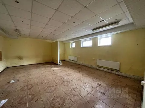 Помещение свободного назначения в Калининградская область, Светловский ...