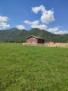 Участок в Алтай, Чемальский район, с. Анос Центральная ул., 41 (20.0 ...