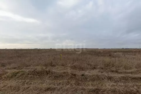 Участок в Тюменская область, Тюмень  (8.95 сот.)