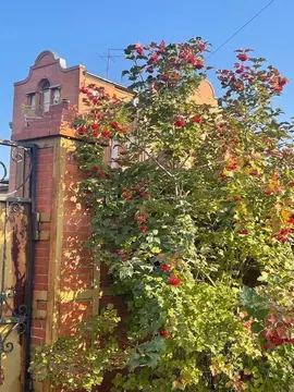 Коттедж в Красноярский край, Березовский район, Зыковский сельсовет, ...