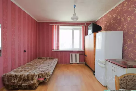 Студия Оренбургская область, Оренбург Тупой пер., 66 (13.3 м)